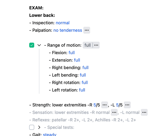 Toggle block example in Dilato template